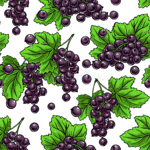 绘画 插图 夏天 植物 营养 水果 颜色 甜点 纹理 纸张