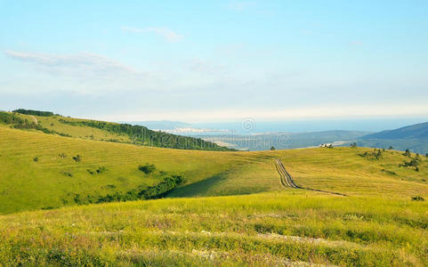 格伦日克 海岸 俄罗斯 公司 植物 范围 自然 高加索 国家的