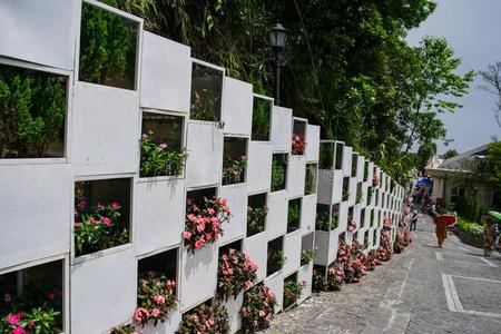 花墙在巴纳山，大南，越南