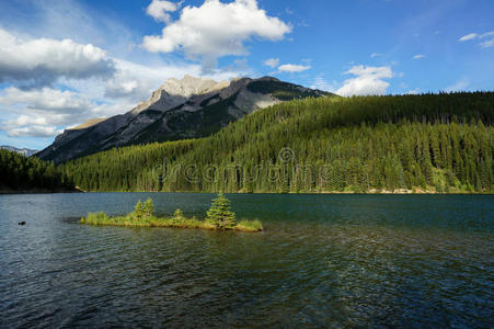 阿尔伯塔省 加拿大 公园 明尼万卡 落基山脉 杰克 国家的