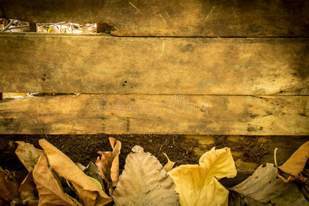 空的 硬木 木板 复古的 桌子 框架 地板 木工 粮食 松木