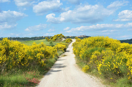 意大利托斯卡纳乡村公路