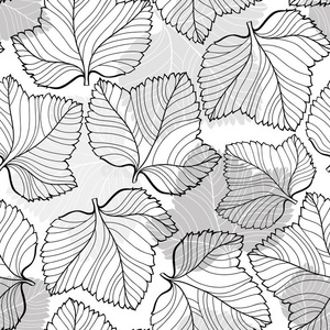 树叶 自然 宾夕法尼亚州 时尚 纸张 要素 单色 花的 插图