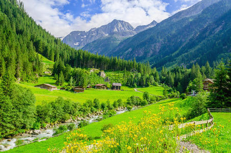 绿色草地，阿尔卑斯山的高山小屋，奥地利