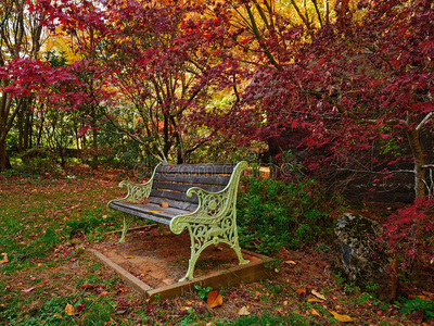 秋天 休息 美女 精灵 季节 树叶 风景 花园 十月 颜色