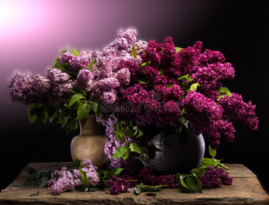 分支 木材 花序 植物 紫色 花的 丁香花 花束 桌子 开花