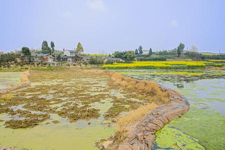 村庄 土地 田园风格 住宅 追踪 房子 农田 瓷器 乡村