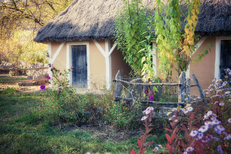 博物馆 花园 基辅 外部 国家 小屋 古老的 建筑 场景