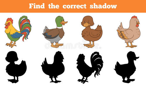 找到正确的影子农场动物鸡和鸭子