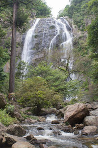 森林 移动 自然 级联 美丽的 旅行者 树叶 风景 旅游业