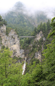 自然 巴伐利亚 欧洲 松木 反渗透 德国 美丽的 风景 旅行