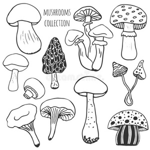 毒蘑菇简笔画白毒图片