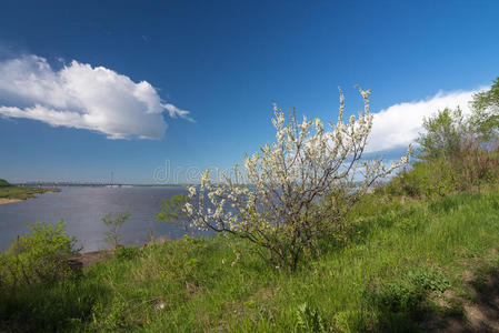 方向 闲暇 真实的 旅行 地平线 海岸 天空 海岸线 夏天