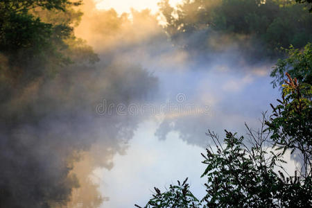 薄雾 美丽的 日落 风景 夏天 森林 春天 早晨 反射 黎明