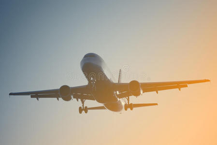 飞行员 乘客 航空 距离 气氛 飞机 高的 鸟类 天堂 空气