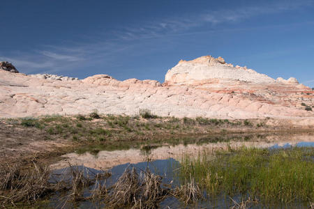 美国 亚利桑那州 沙漠 荒野 风景 峡谷 春天 前进 岩石