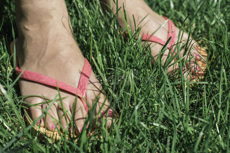 脚踩在绿色的草地上。