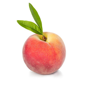 桃底在白色背景上孤立的杏生熟有机白桃准备吃白桃白桃桃白隔离肖像