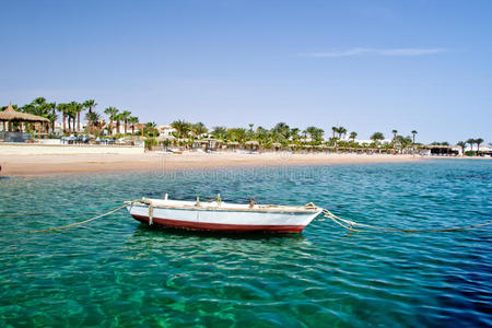 印第安人 海滩 太阳 钓鱼 海洋 海岸线 自然 棕榈 海景