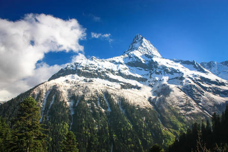 风景 国家的 阿尔卑斯山 总和 季节 美丽的 早晨 徒步旅行