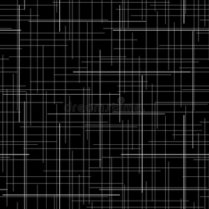 黑白抽象背景. 格子织物纹理. 随机线. 无缝图案.照片