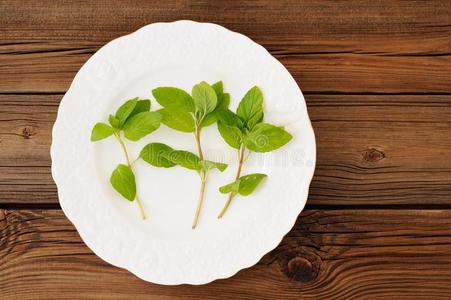 治疗 玻璃 木材 健康 梅丽莎 香料 医学 盘子 食物 薄荷