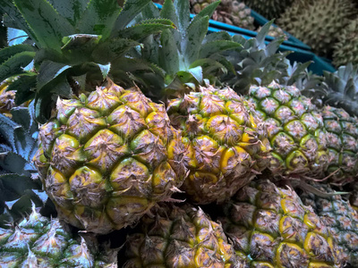 咖啡 植物 节食 特写镜头 好的 颜色 艺术 营养 水果