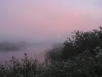 雾蒙蒙的早晨在河边