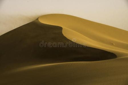 金色沙丘