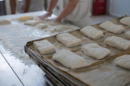 面包师和托盘新鲜的西巴塔面包馒头