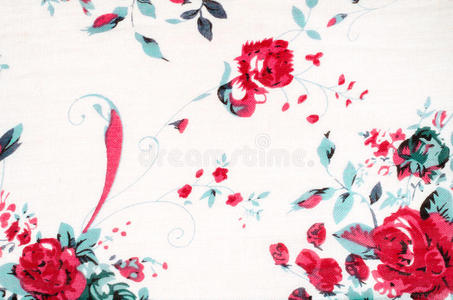 玫瑰 美丽的 自然 粉红色 奢侈 围巾 甜的 美女 绘画