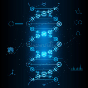 网络DNA