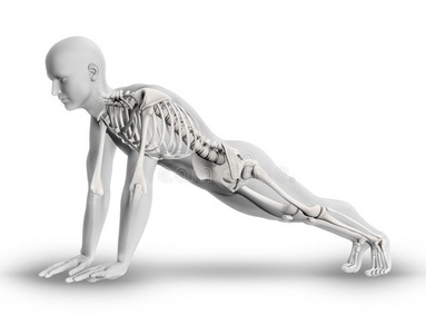 三维男性图形与部分骨骼在瑜伽姿势
