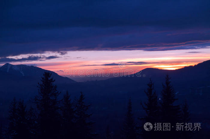 塔特拉 森林 太阳 傍晚 旅行 黄昏 荒野 公园 波兰 伍兹