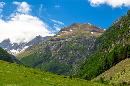 放松 高的 秋天 自然 意大利 公司 帕索 欧洲 风景 薄雾