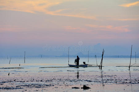 地区 泰国 太阳 反射 风景 泥泞 钓鱼 美女 海洋 夏天