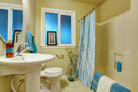 美国人 房子 建筑师 淋浴 翻新 洗澡 地板 橱柜 真实的