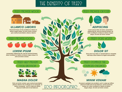 生态信息图显示树木的好处。