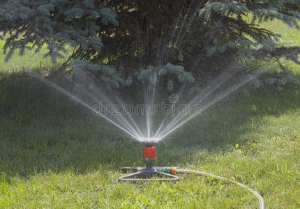 草坪灌溉装置.照片