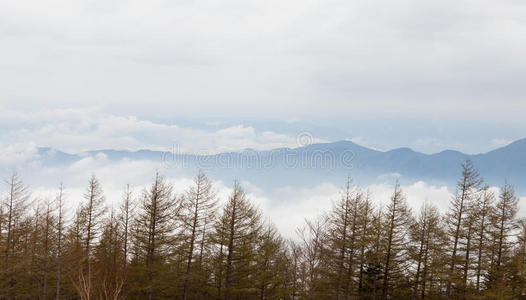 岩石 阿尔卑斯山 全景图 全景 美丽的 旅行 旅游业 冰川