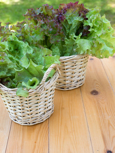 洛洛 生菜 食物 蔬菜 收获 植物 木板 花园 自然 美食家