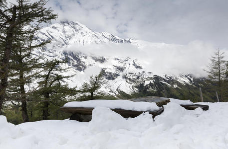 白雪皑皑的阿尔卑斯山