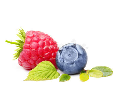 树莓和蓝莓分离