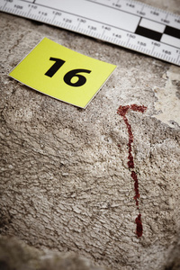 权力 行业 死亡 法律 男人 收集 测量 罪犯 文档 成人