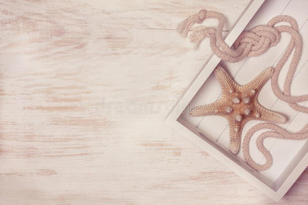 夏天 蜗牛 古老的 纹理 咕哝 旅行 海的 明星 框架 海洋