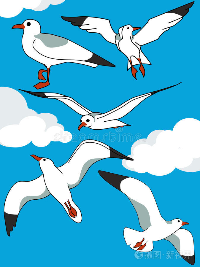 海鸥套装插画
