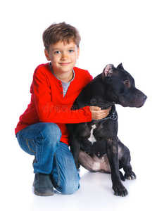 宝贝斗牛犬带着他的斗牛犬的男孩照片