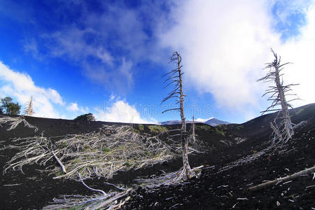 窗台 植物 颜色 固体 熔岩 岩石 下坡 风景 污垢 爆炸