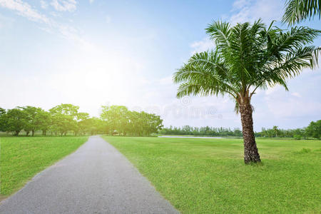 阳光 土地 季节 天空 太阳 领域 闪耀 春天 自然 草地