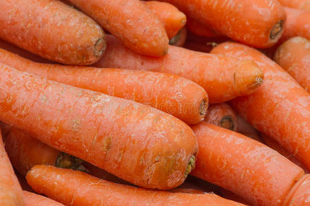 一组成熟的胡萝卜。 天然有机饮食。